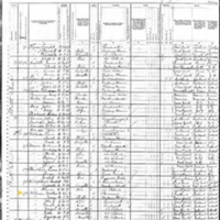 Mathias O'Brien; 1880 Census (Listed as Matthew)