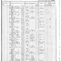 Michael Daly; 1855 Census