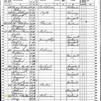 Patrick Cullen; 1860 Census