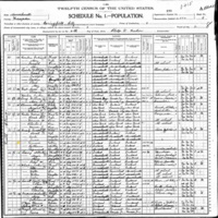 Terence Connelly; 1900 Census
