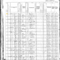 Michael Breslan; 1880 Census