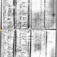 Denis Smith on Ship Manifest