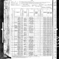 James McGovern; 1880 Census (1)