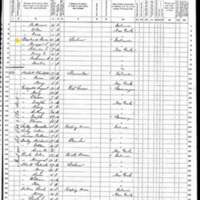 Bridget and James Bresland; 1870 Census
