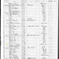 Margaret Heslin; 1850 Census