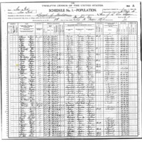 Sarah Corrigan; 1900 Census
