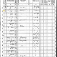 John and Catherine Shea; 1870 Census