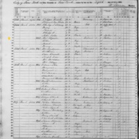 Thomas and Ellen Higgiston; 1855 Census