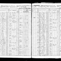Johanna Wall; 1855 Census