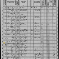 Jane Brannick; 1870 Census