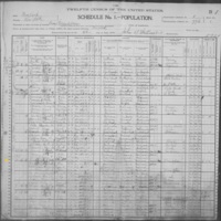 Henry McAleenan; 1900 Census