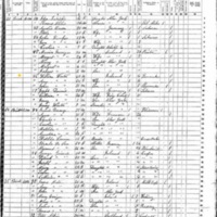 Ann Winter; 1855 Census