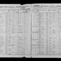 Mary and Patrick Brogan; 1855 Census