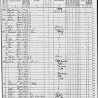 Michael Connolly; 1870 Census (2)