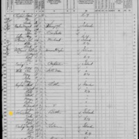 John Touhill; 1870 Census