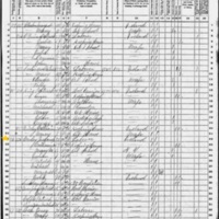 Terence Connelly; 1870 Census
