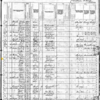 Michael Flanigan; 1880 Census