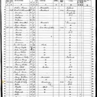 Mary Mackarow; 1860 Census (1)