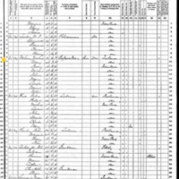 Mary and Michael Mahoney; 1870 Census
