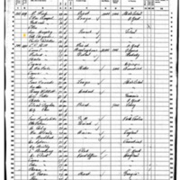 Catherine Cosgrove; 1860 Census