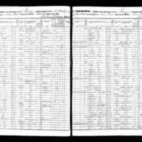 William McNulty; 1855 Census