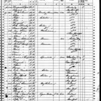 John Lynch; 1860 Census