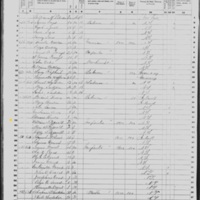 William Fitzgerald; 1860 Census