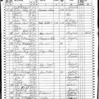 Bridget Clifford; 1860 Census (1)