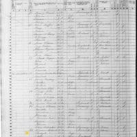 Bridget O'Donnell; 1855 Census
