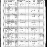 Patrick Nolan; 1860 Census