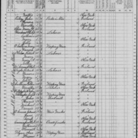 James Gallagher; 1870 Census (1)