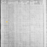 Ann McCabe; 1855 Census