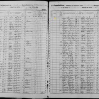Ann Fagen; 1855 Census