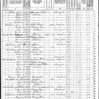 Francis Colton; 1870 Census (2)