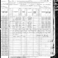John Reilly; 1880 Census (2)