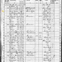 Mary Carlin; 1860 Census