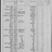 Mary Harkin; 1870 Census (2)