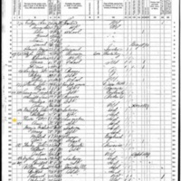 Ann Winter; 1870 Census