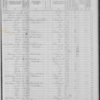 John Hanigan; 1870 Census