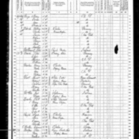 Peter Halpin; 1870 Census (1)