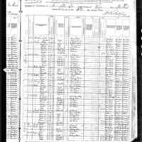 Ellen Fleming; 1880 Census