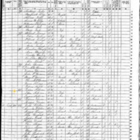 Ellen Sullivan; 1855 Census