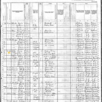 Emily Toohill Colton; 1880 Census
