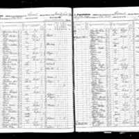 William Hogan; 1855 Census