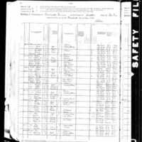 John and Mary Tracy; 1880 Census
