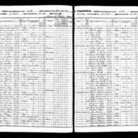 Mary Dowdle; 1855 Census