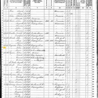 John Cosgrove; 1870 Census