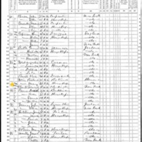 Ann Weir; 1870 Census