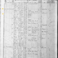 Timothy Cleary; 1855 Census