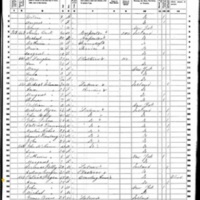 Ann Fagen; 1860 Census